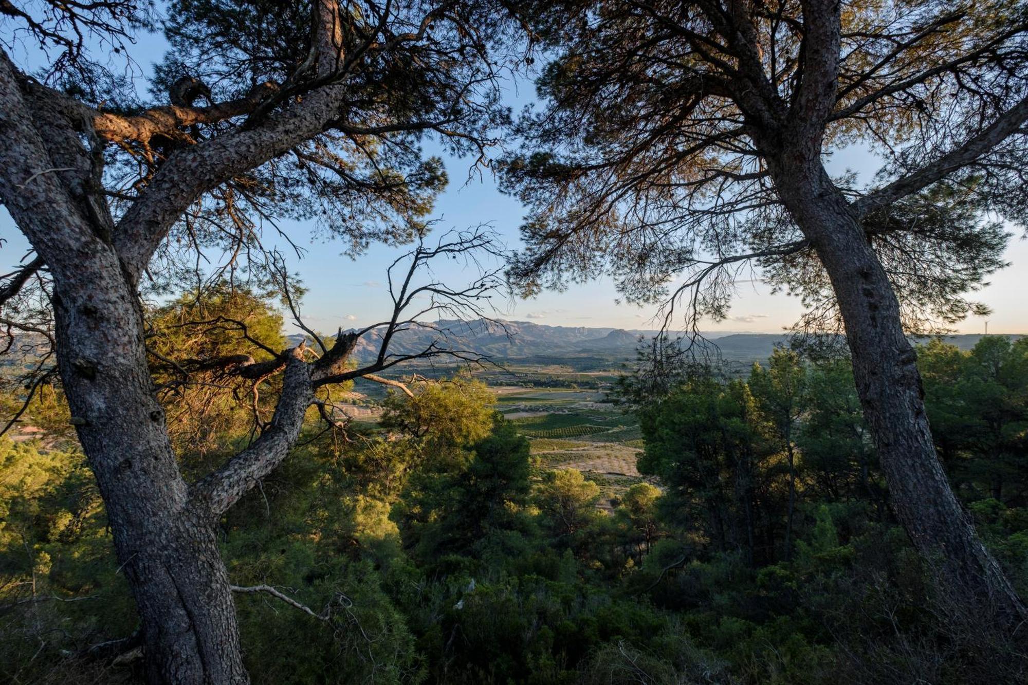 Enoturismo Celler Pinol Apartman Batea Kültér fotó